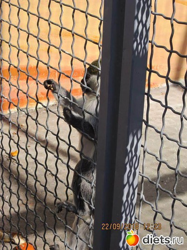 16 ����: ��������� �������