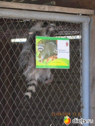 19 ����: ��������� �������