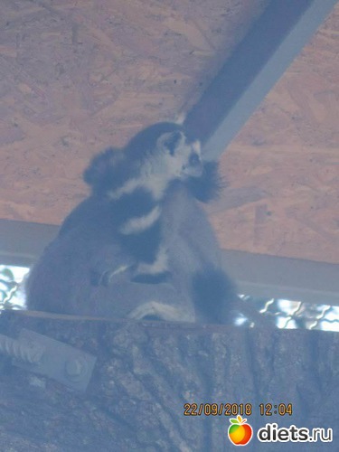 20 ����: ��������� �������