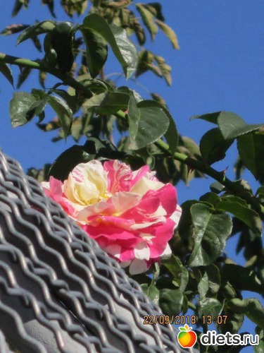 21 ����: ��������� �������