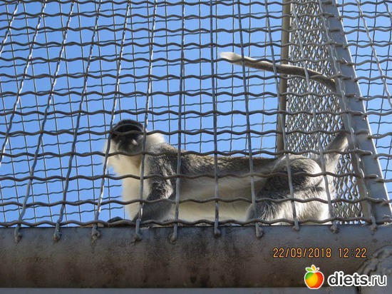 22 ����: ��������� �������