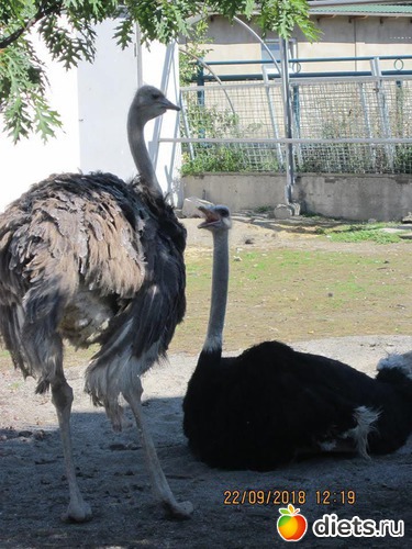 23 ����: ��������� �������