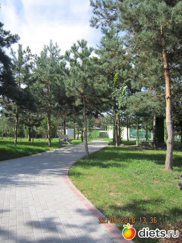 24 ����: ��������� �������