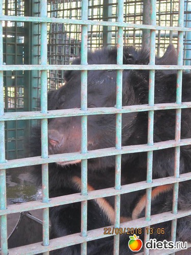 25 ����: ��������� �������