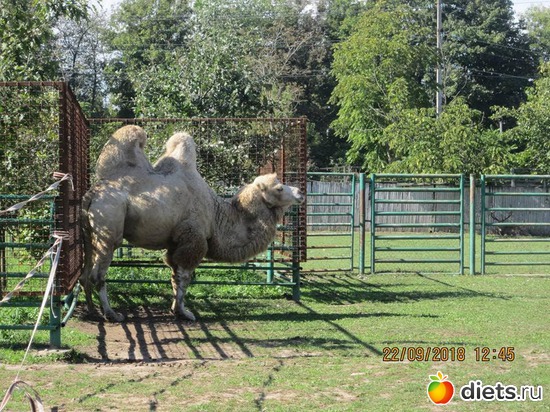 28 ����: ��������� �������