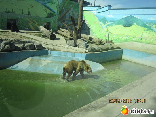 29 фото: Винницкий зоопарк