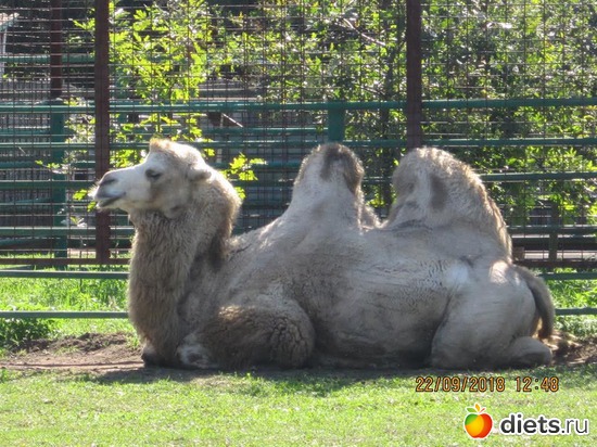 31 ����: ��������� �������