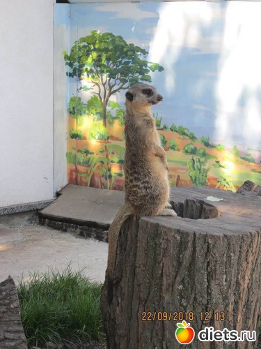 33 ����: ��������� �������