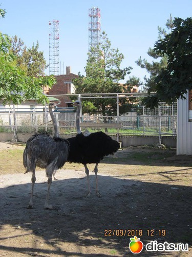 34 ����: ��������� �������