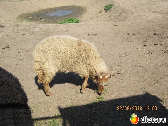 35 ����: ��������� �������