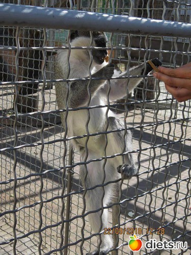 36 ����: ��������� �������