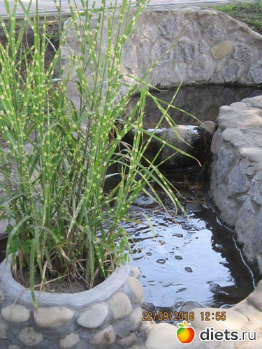 37 ����: ��������� �������