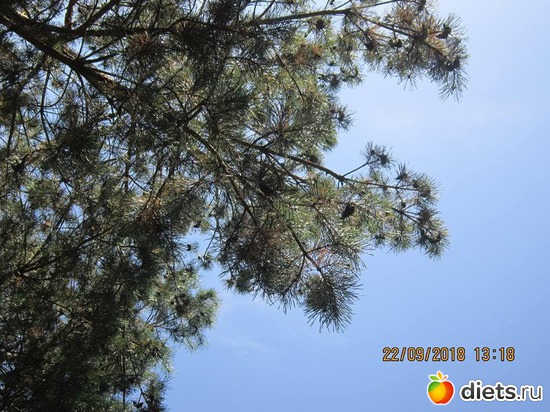 38 ����: ��������� �������