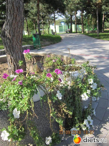 39 ����: ��������� �������