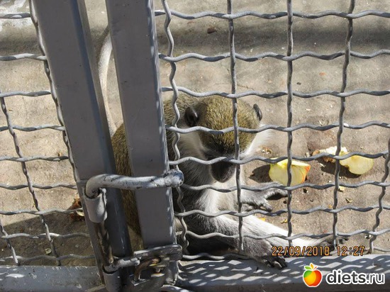 40 ����: ��������� �������