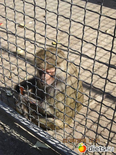 44 фото: Винницкий зоопарк