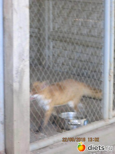 45 ����: ��������� �������