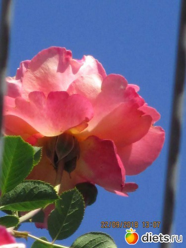 46 ����: ��������� �������