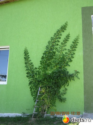 47 ����: ��������� �������