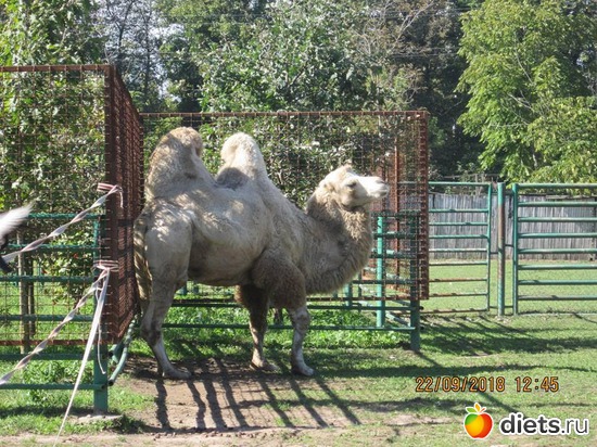 49 ����: ��������� �������