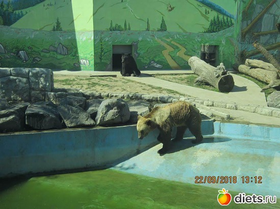 50 ����: ��������� �������