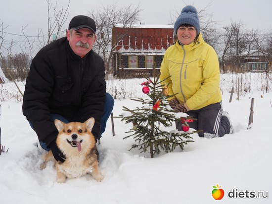 6 ����: 21 ������ 2018 �� ����