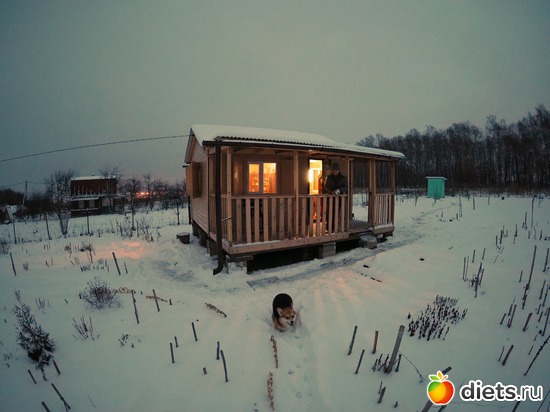 8 ����: 21 ������ 2018 �� ����