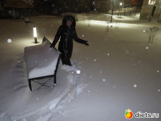 ���� �� - ������, ������: 2019  ������