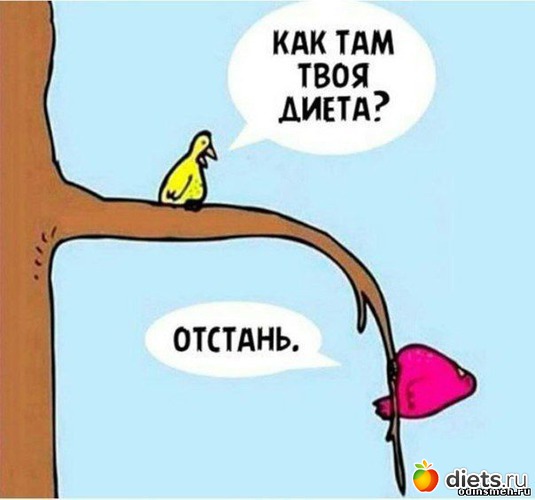 5 ����: ������