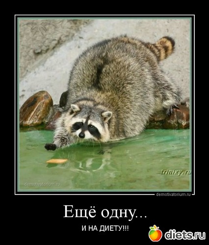 3 ����: ������