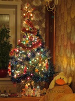 ������� ���� � ��������. ���������-�������. ��� �������.