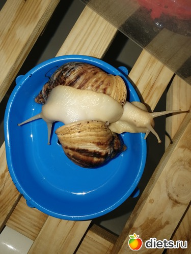 2 ����: ������