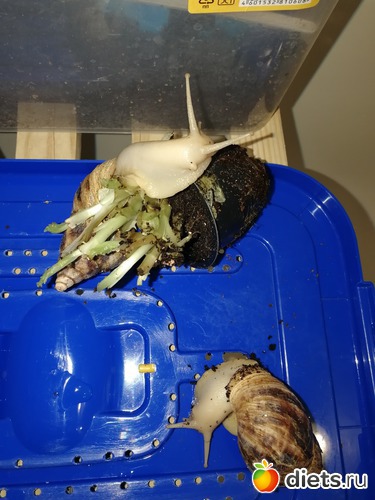 5 ����: ������