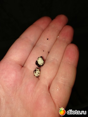 6 ����: ������