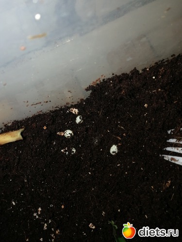 7 ����: ������