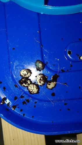 8 ����: ������