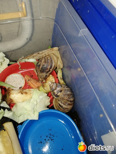 9 ����: ������