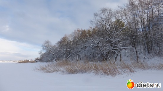 �����, ������: �������� 19-20.01.2019