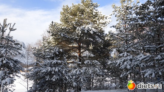 �����, ������: �������� 19-20.01.2019