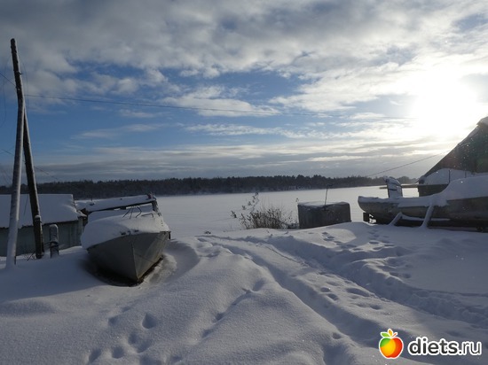 �������� ����� ������, ������: �������� 19-20.01.2019