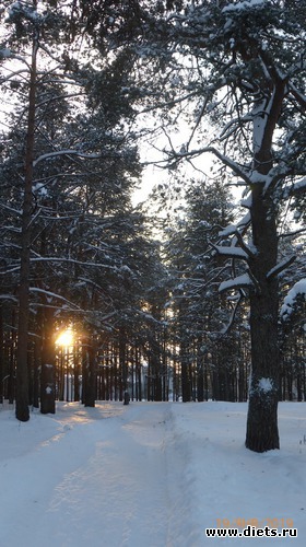 ����, ������: �������� 19-20.01.2019