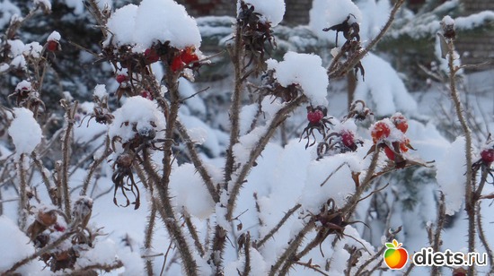 ��������2, ������: �������� 19-20.01.2019