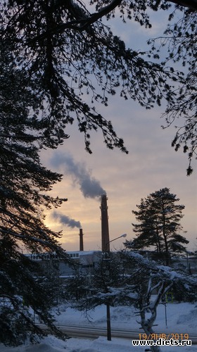 �����, ������: �������� 19-20.01.2019