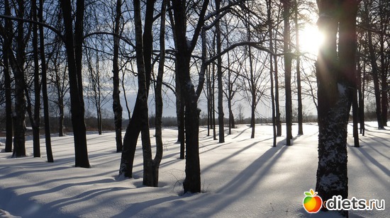 Тени, альбом: Выходные 19-20.01.2019