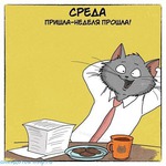 Правильной дорогой идем к стройности, товарищи! 145 серия, обычный ежедневный отчет