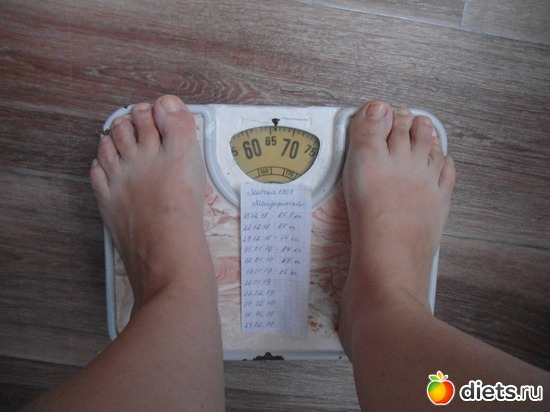 66 ��-������� ������ � ������� �� ��� ���� ��������. ��� ����� ����, ������: ������ ������� 2018-2019