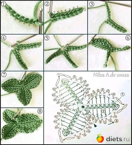 12 ����: ����