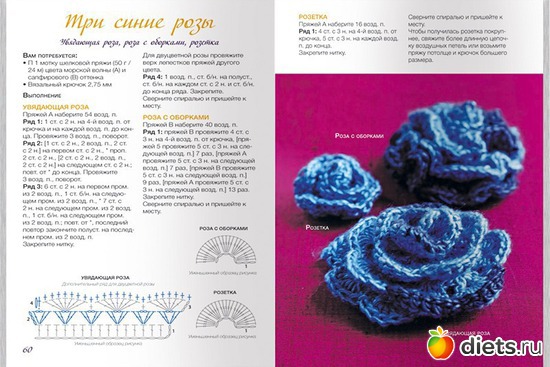 35 ����: ����