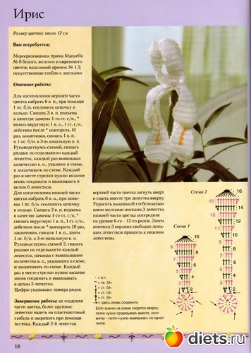 41 ����: ����