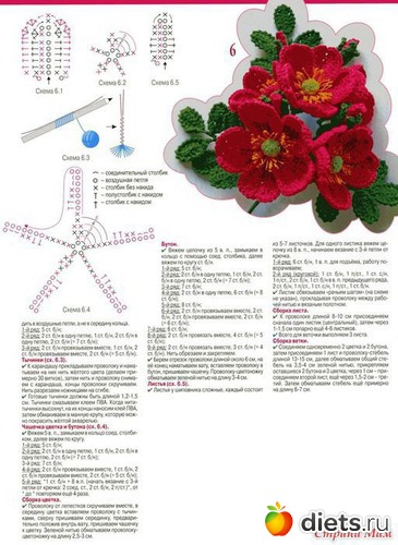 9 фото: фото2